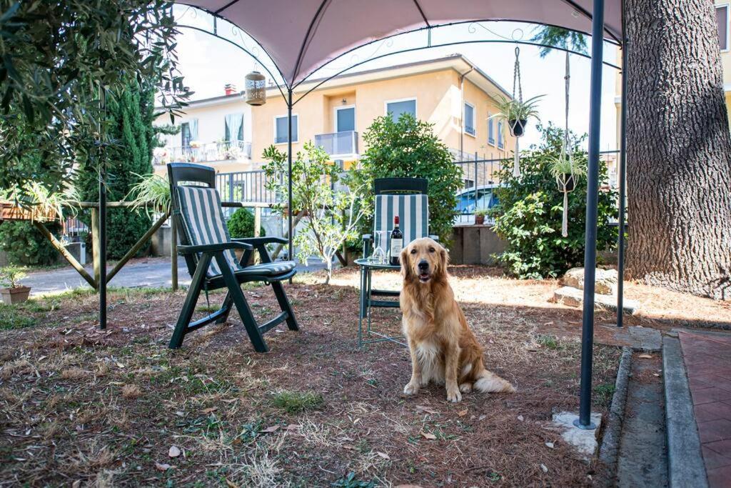 Easy Florence Scandicci Dış mekan fotoğraf